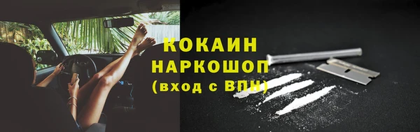 хмурый Гусев