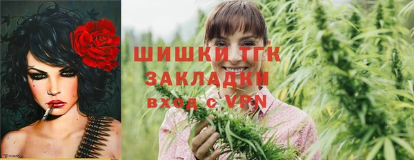 дмт Гусь-Хрустальный