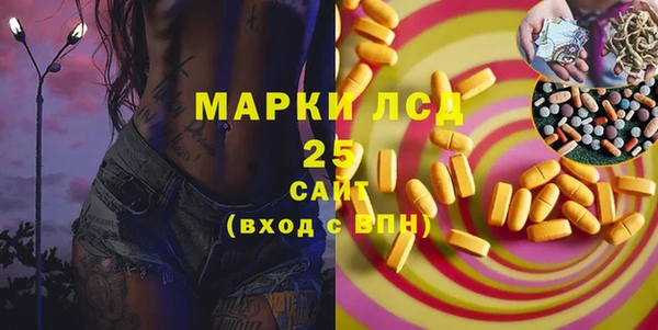 хмурый Гусев