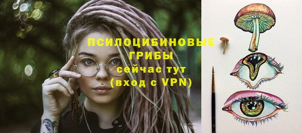 дмт Гусь-Хрустальный