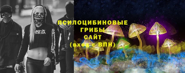 хмурый Гусев