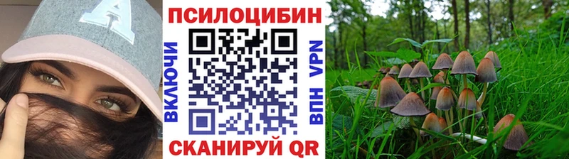 Галлюциногенные грибы мухоморы  Облучье 